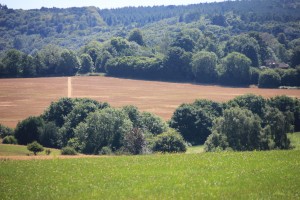 Image shows a path across fields